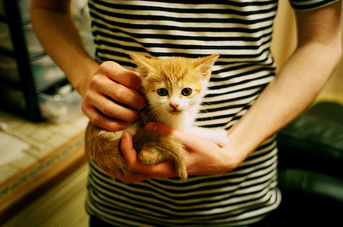 新兴游戏电竞项目迅速兴起，新创立的电竞公司